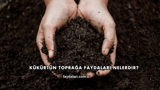 Kükürtün Toprağa Faydaları Nelerdir?