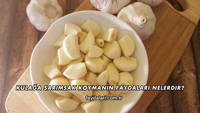 Kulağa Sarımsak Koymanın Faydaları Nelerdir?