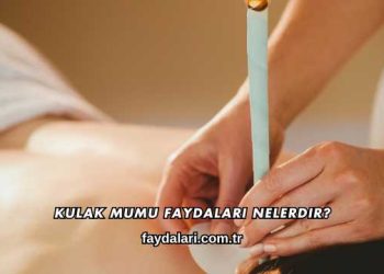 Kulak Mumu Faydaları Nelerdir?