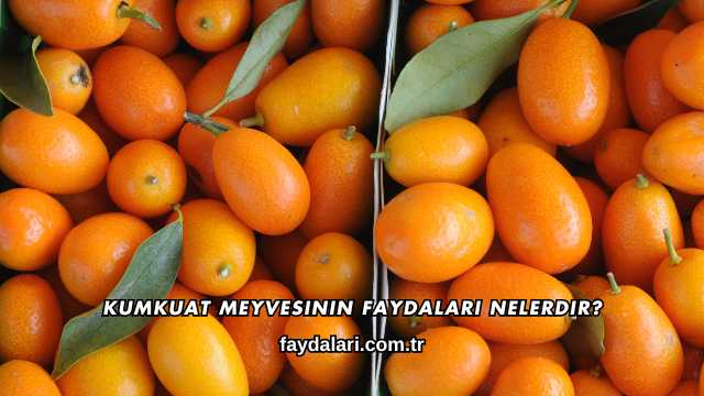 Kumkuat Meyvesinin Faydaları Nelerdir?