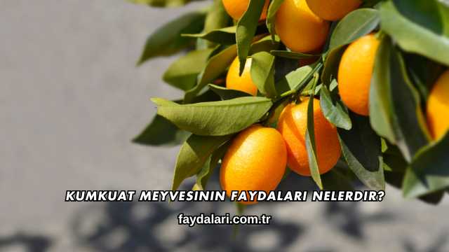 Kumkuat Meyvesinin Faydaları Nelerdir?