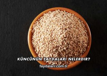 Küncünün Faydaları Nelerdir?
