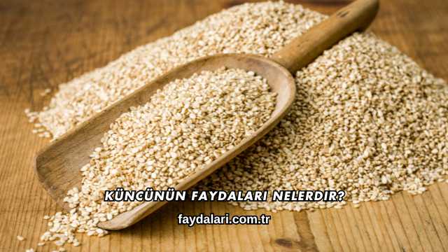 Küncünün Faydaları Nelerdir?