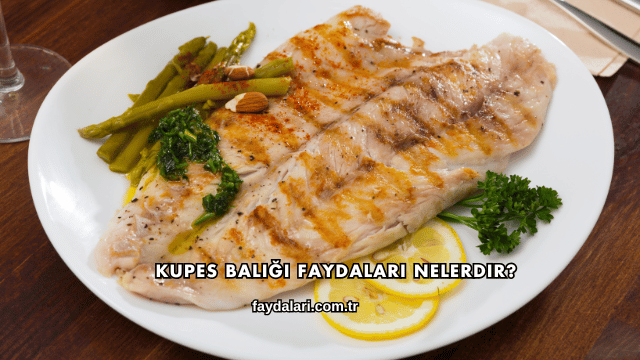 Kupes Balığı Faydaları Nelerdir?