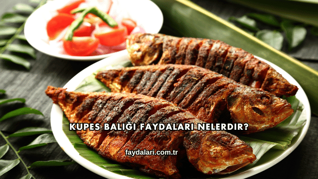 Kupes Balığı Faydaları Nelerdir?