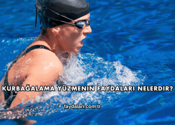 Kurbağalama Yüzmenin Faydaları Nelerdir?