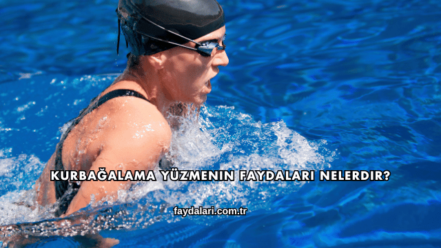 Kurbağalama Yüzmenin Faydaları Nelerdir?