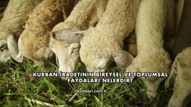 Kurban İbadetinin Bireysel ve Toplumsal Faydaları Nelerdir?