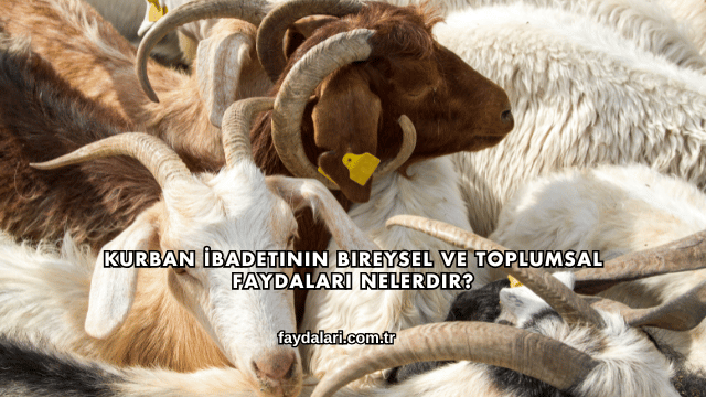 Kurban İbadetinin Bireysel ve Toplumsal Faydaları Nelerdir?