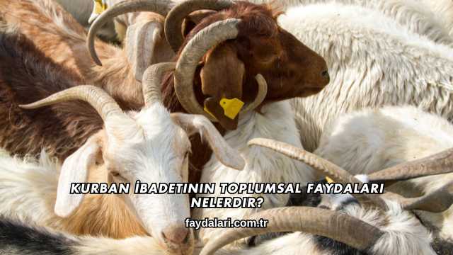 Kurban İbadetinin Toplumsal Faydaları Nelerdir?