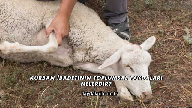 Kurban İbadetinin Toplumsal Faydaları Nelerdir?