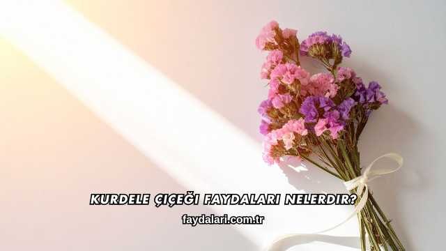 Kurdele Çiçeği Faydaları Nelerdir?