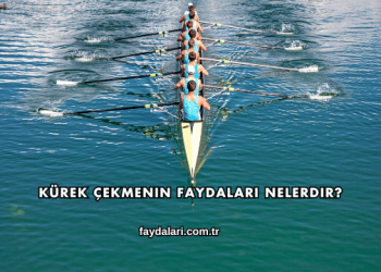 Kürek Çekmenin Faydaları Nelerdir?