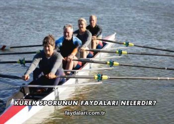 Kürek Sporunun Faydaları Nelerdir?