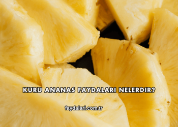 Kuru Ananas Faydaları Nelerdir?