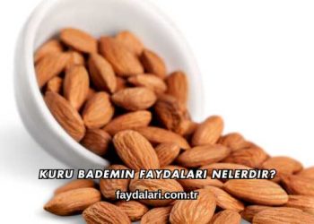 Kuru Bademin Faydaları Nelerdir?