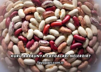 Kuru Barbunya Faydaları Nelerdir?