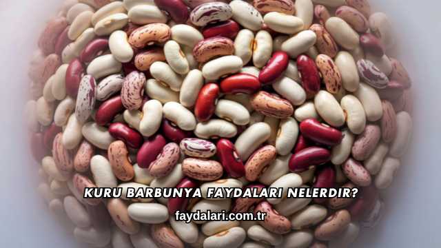 Kuru Barbunya Faydaları Nelerdir?