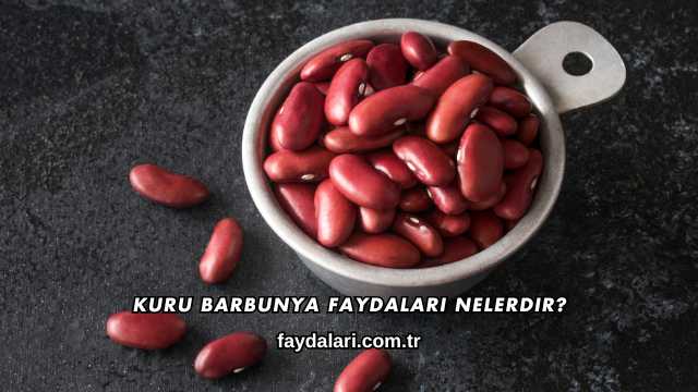 Kuru Barbunya Faydaları Nelerdir?