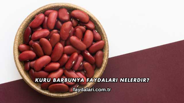 Kuru Barbunya Faydaları Nelerdir?