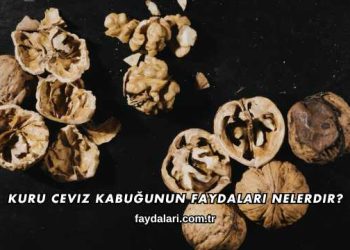Kuru Ceviz Kabuğunun Faydaları Nelerdir?