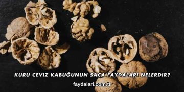 Kuru Ceviz Kabuğunun Saça Faydaları Nelerdir?