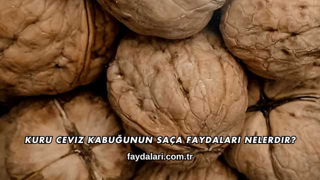 Kuru Ceviz Kabuğunun Saça Faydaları Nelerdir?