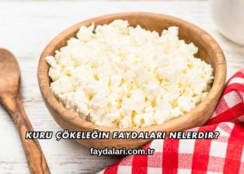 Kuru Çökeleğin Faydaları Nelerdir?