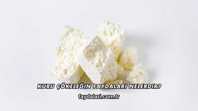 Kuru Çökeleğin Faydaları Nelerdir?