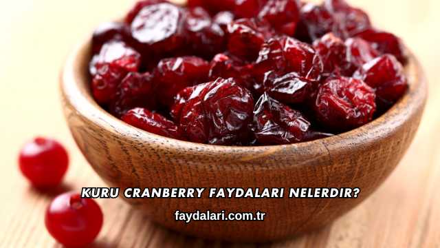 Kuru Cranberry Faydaları Nelerdir?