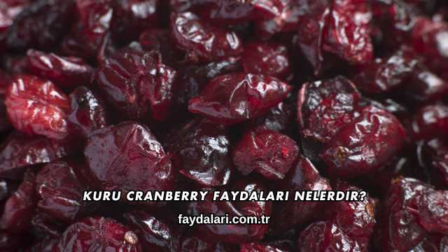 Kuru Cranberry Faydaları Nelerdir?