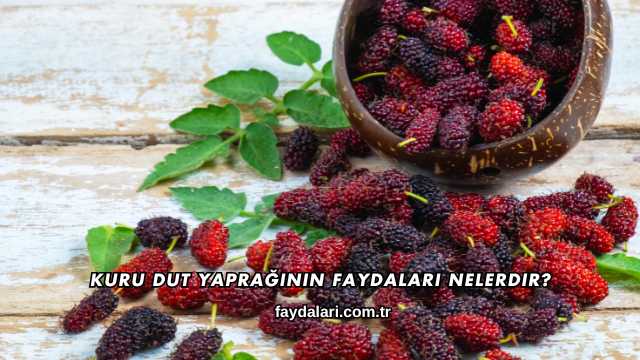 Kuru Dut Yaprağının Faydaları Nelerdir?