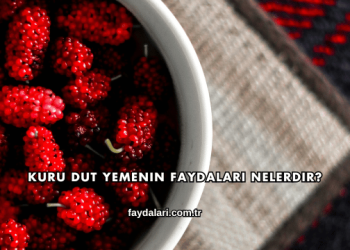 Kuru Dut Yemenin Faydaları Nelerdir?