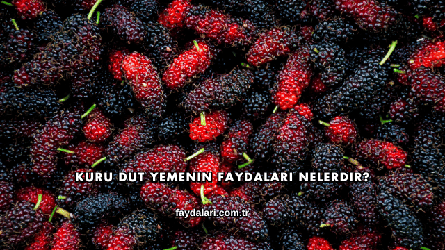 Kuru Dut Yemenin Faydaları Nelerdir?