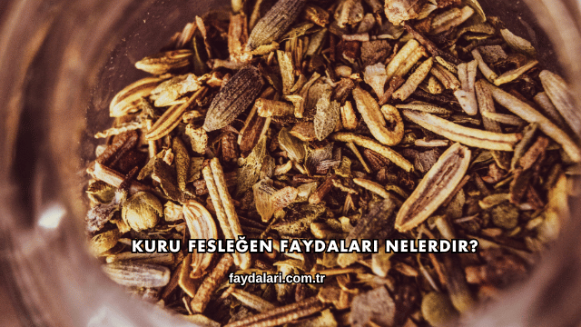 Kuru Fesleğen Faydaları Nelerdir?