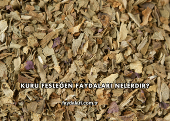 Kuru Fesleğen Faydaları Nelerdir?