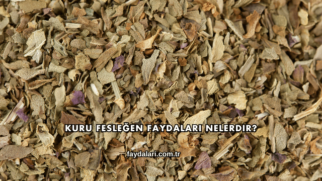 Kuru Fesleğen Faydaları Nelerdir?