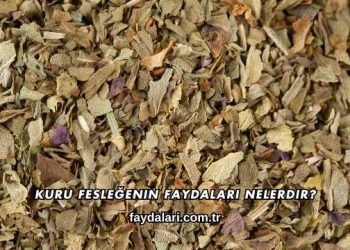 Kuru Fesleğenin Faydaları Nelerdir?