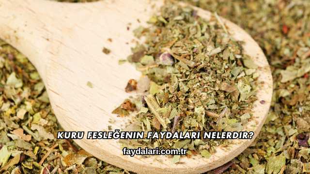 Kuru Fesleğenin Faydaları Nelerdir?