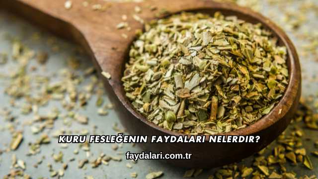 Kuru Fesleğenin Faydaları Nelerdir?