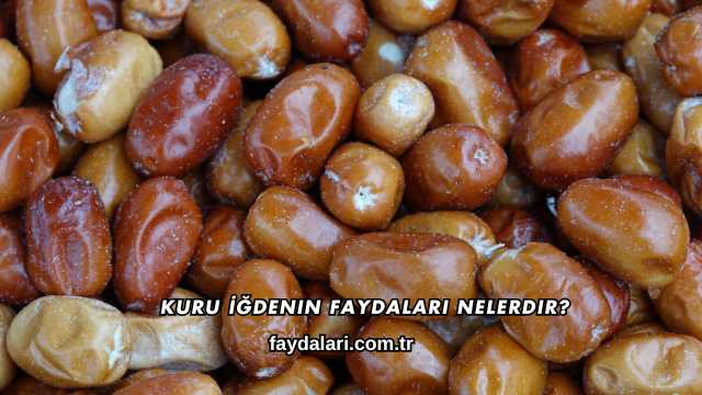 Kuru İğdenin Faydaları Nelerdir?
