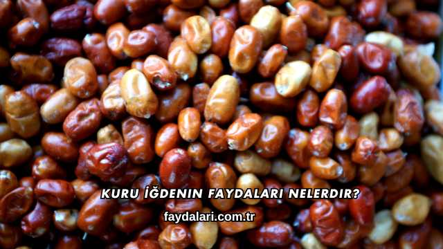 Kuru İğdenin Faydaları Nelerdir?
