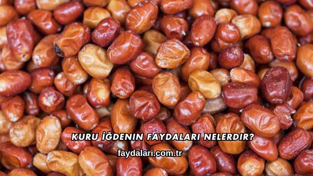 Kuru İğdenin Faydaları Nelerdir?