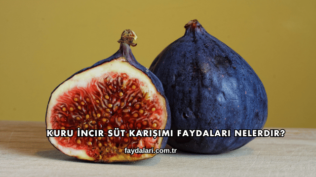 Kuru İncir Süt Karışımı Faydaları Nelerdir?