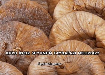 Kuru İncir Suyunun Faydaları Nelerdir?