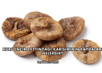 Kuru İncir Zeytinyağı Karışımının Faydaları Nelerdir?