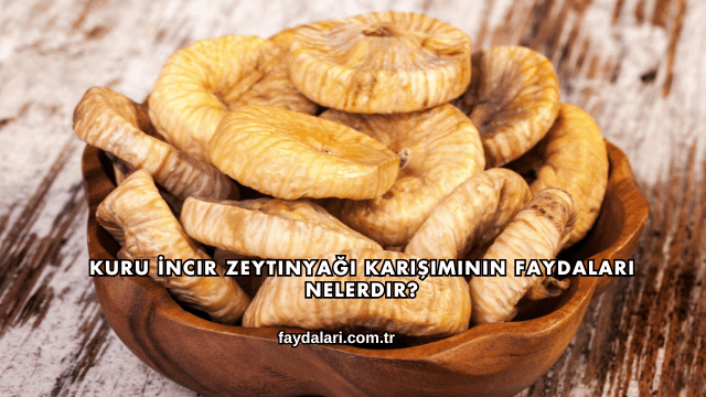 Kuru İncir Zeytinyağı Karışımının Faydaları Nelerdir?