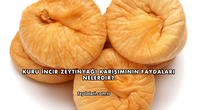 Kuru İncir Zeytinyağı Karışımının Faydaları Nelerdir?