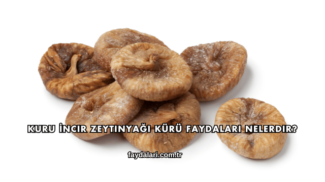 Kuru İncir Zeytinyağı Kürü Faydaları Nelerdir?