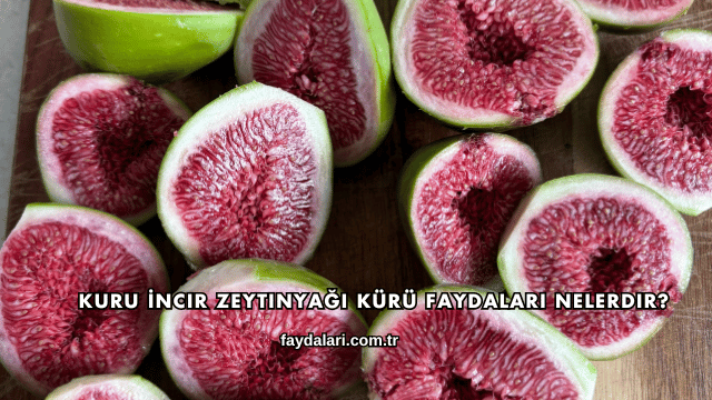 Kuru İncir Zeytinyağı Kürü Faydaları Nelerdir?